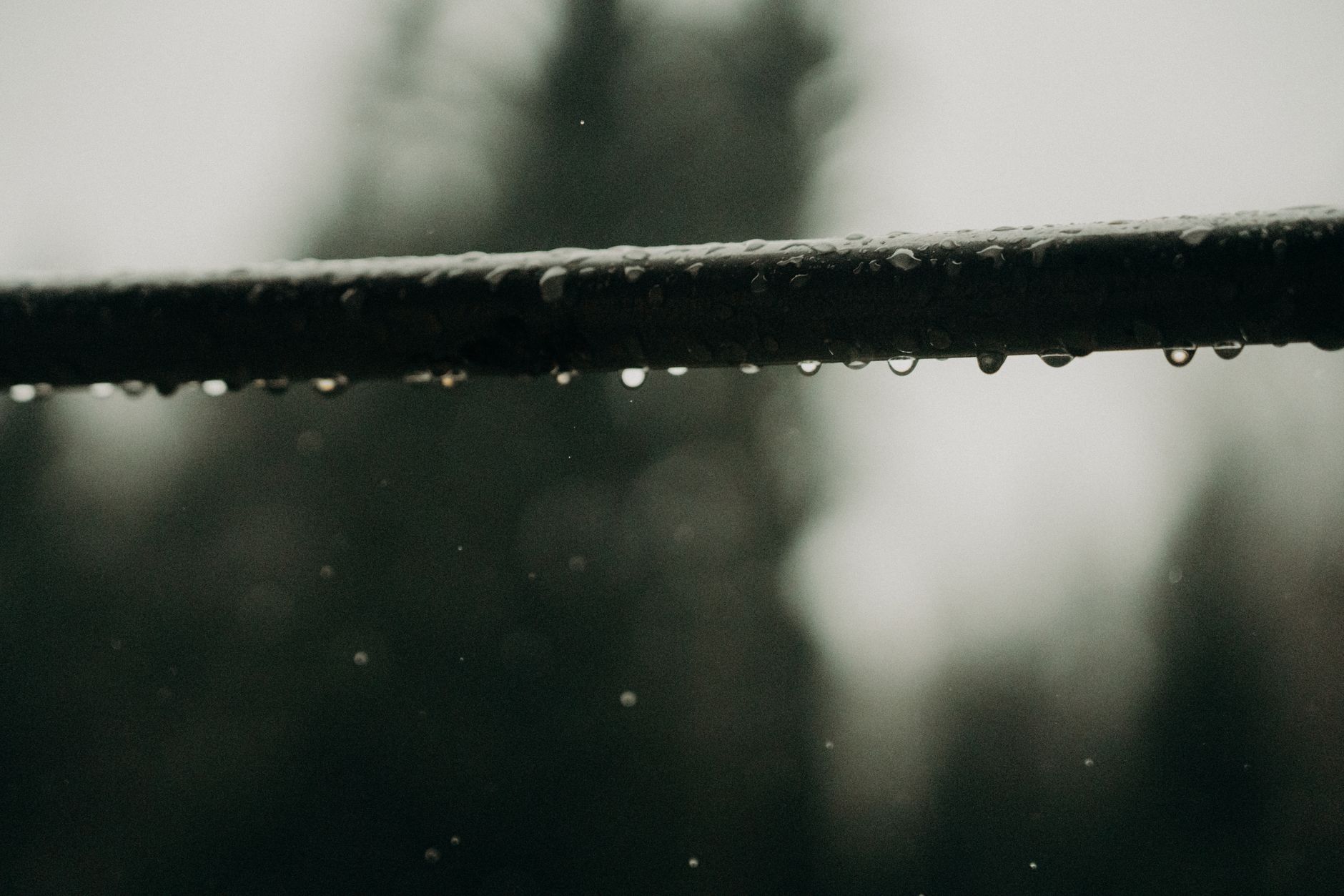 Gutter Cleaning – Bartlett