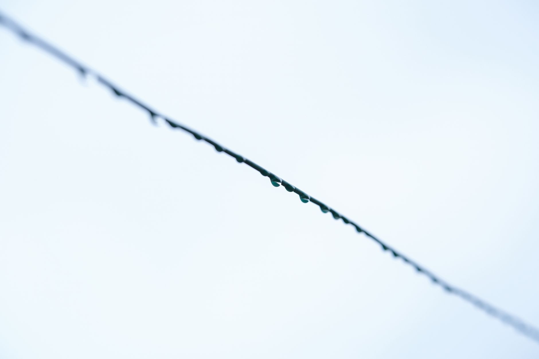 Fascia Repair – Bartlett
